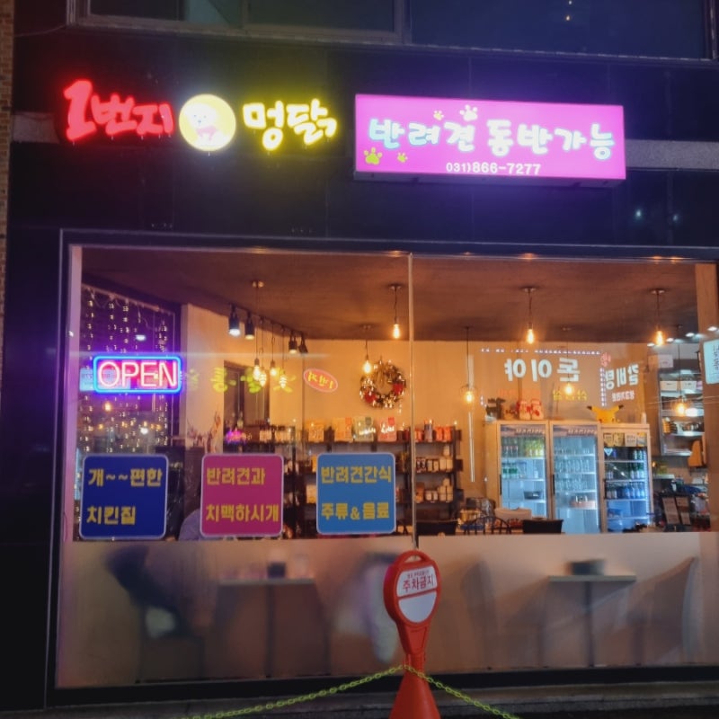 사진 5