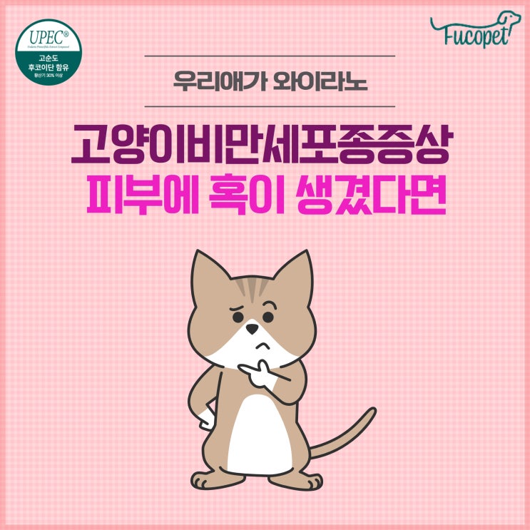  고양이 피부 혹, 비만세포종증상