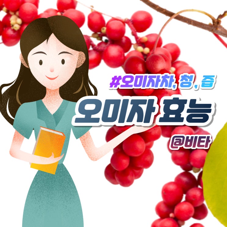  오미자 효능 청,즙,차 부작용은?