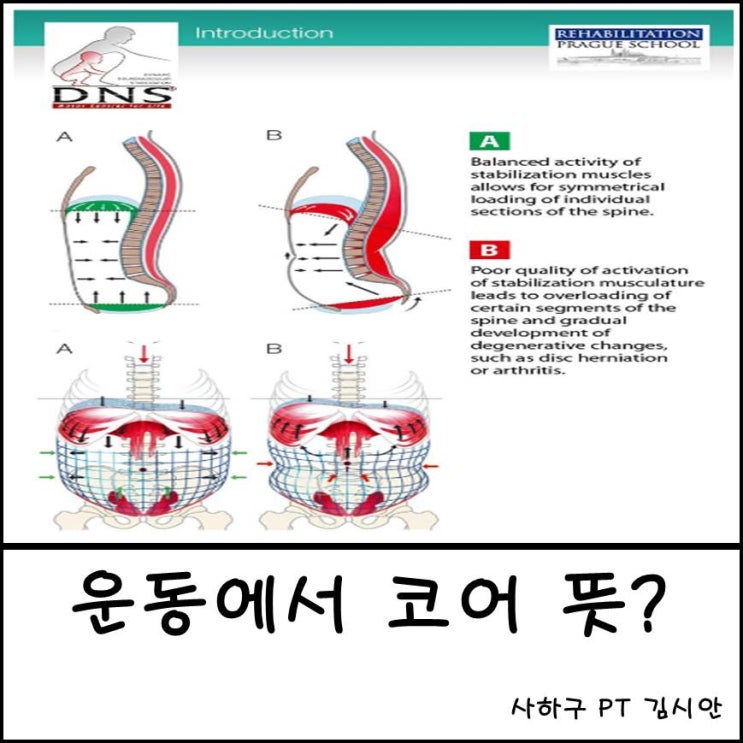 운동에서 코어 뜻은 무엇일까요?