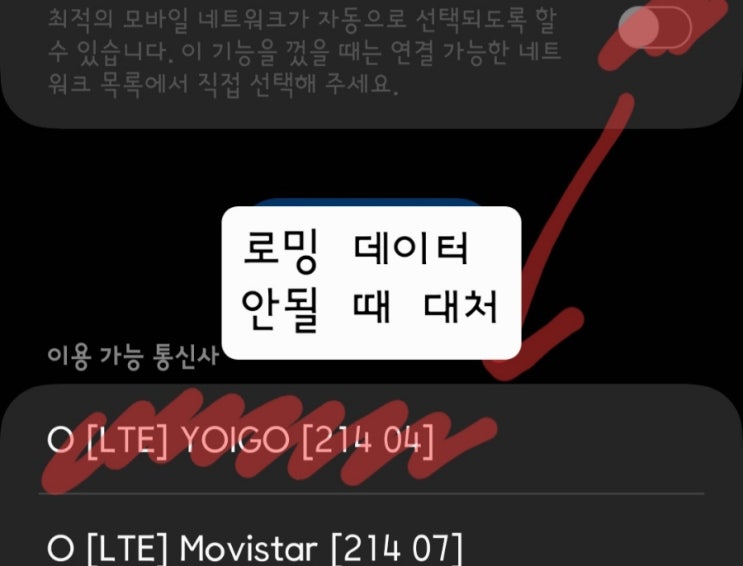  [SKT 로밍 오류] 데이터 안터져요, 인터넷 연결이 안돼요 (feat. 해결책)