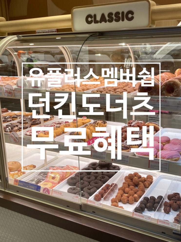  ［U+멤버스 무료혜택］던킨도너츠 부산서면역 방문후기 무료 카푸치노츄이스터 & 아메리카노 즐기기