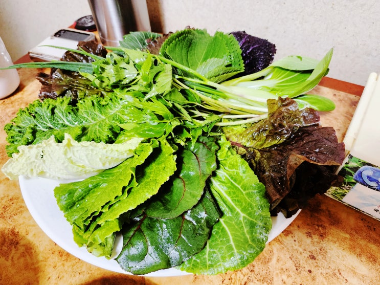  제천 쌈밥 맛집 신월동 질고개쌈밥 내돈내산 제천현지인맛집