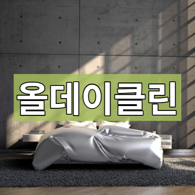  송도 입주청소 꼼꼼하게 잘하는 업체