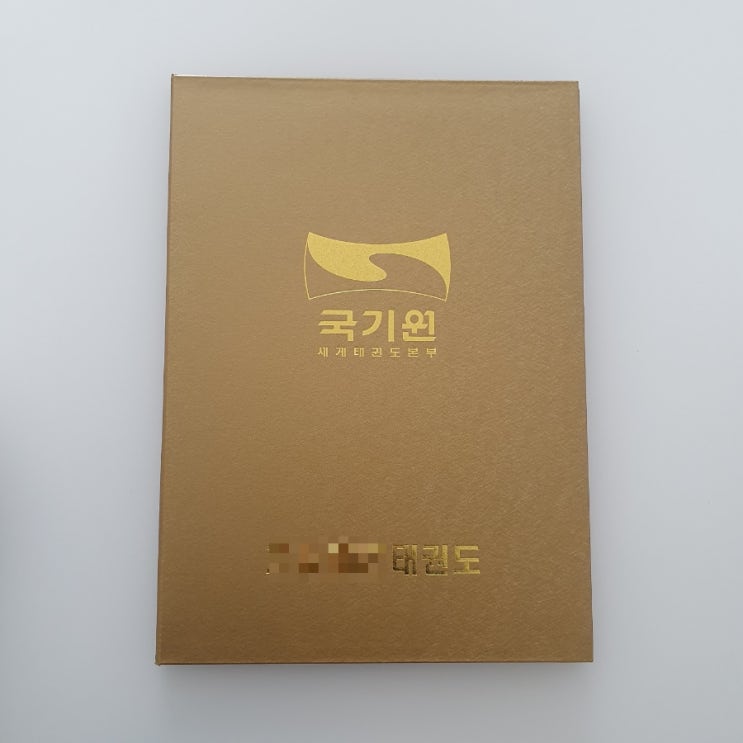  행복한 순간이요? 드디어 태권도 1품 달았습니다 (국기원 심사비)