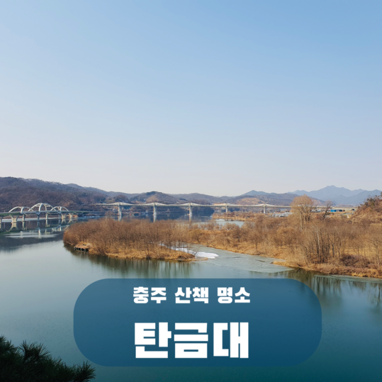  충주 애견동반 여행 탄금대, 강아지와 데이트 무술공원 산책로
