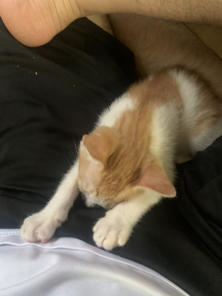  성장일지 21/06