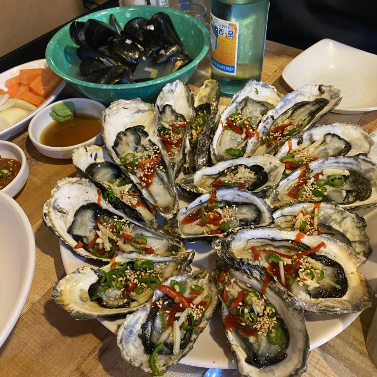  [종로/서촌] 신선한 제철 해산물 학꽁치회 석화 맛집 '계단집' 유퀴즈 수요미식회 방영