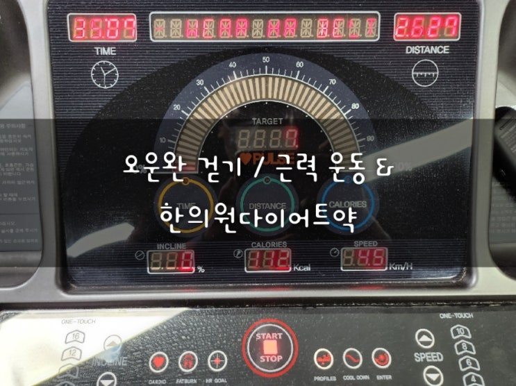  오늘도 살빼기 3kg 빠짐 걷기 근력운동 / 한의원다이어트약 오운완