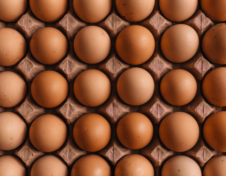계란 효능 달걀 유통기한 그리고 달걀 요리