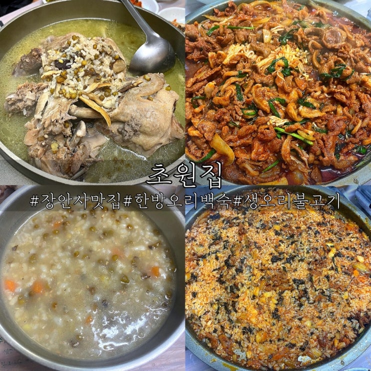  부산 장안사 맛집 보양식 한방오리백숙 초원집!