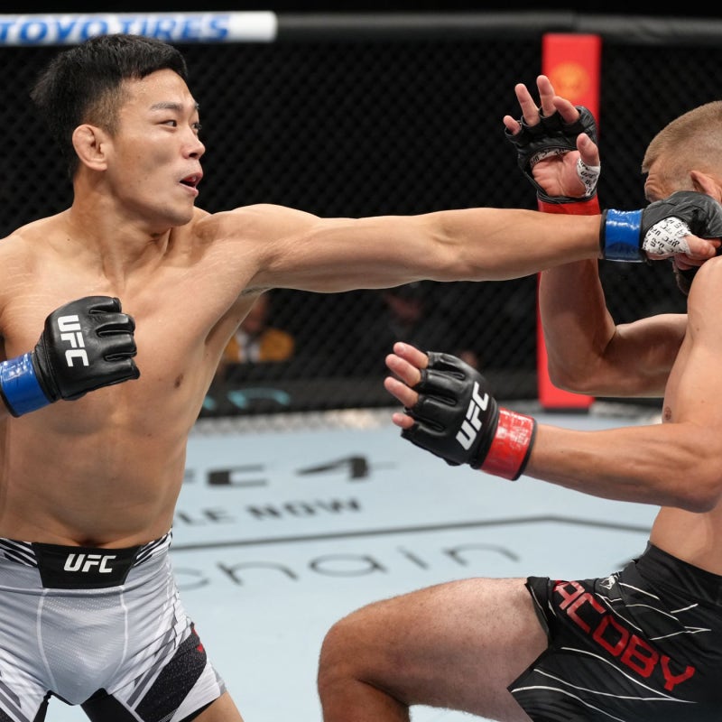 UFC 파이트 나이트 최두호 넬슨 페더급 중…