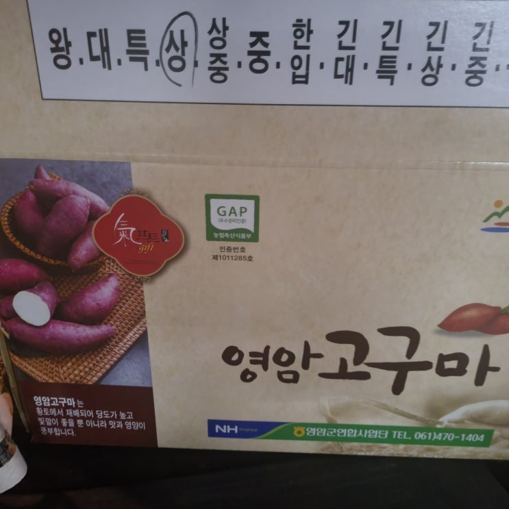  영암 꿀 고구마 (찌는법 보관법 고구마효능)