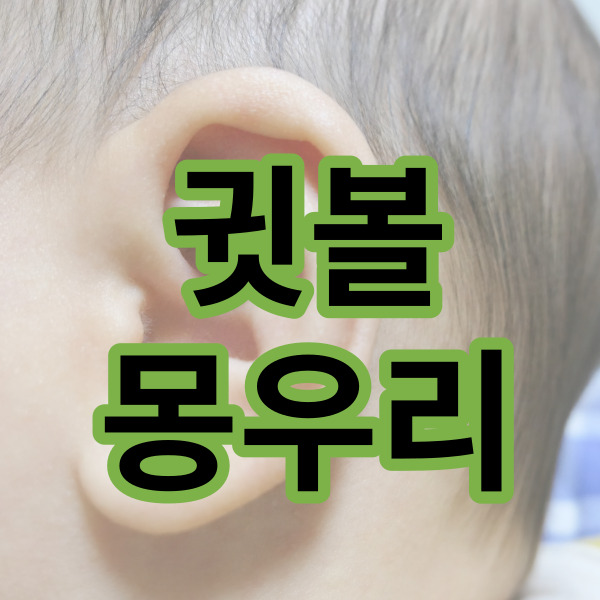  귓볼 몽우리 이럴 때 병원 가야 되나요?