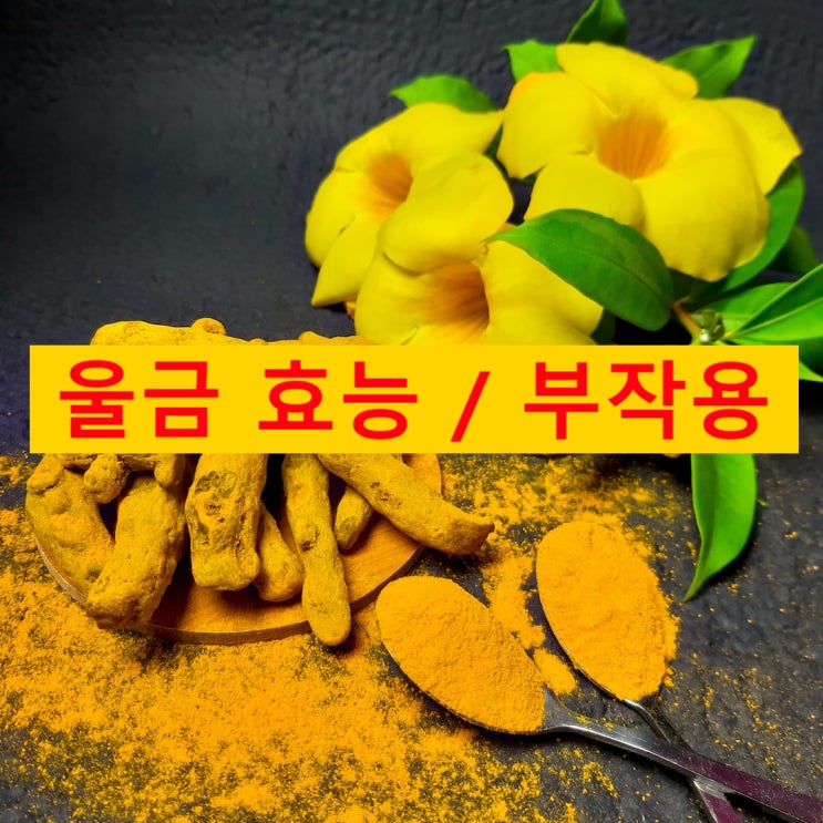 울금효과 효능 부작용