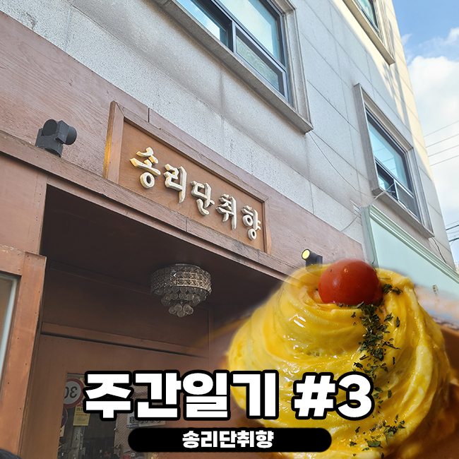 2023년 주간 일기 #3 | 송리단취향 | 송리단길 맛집