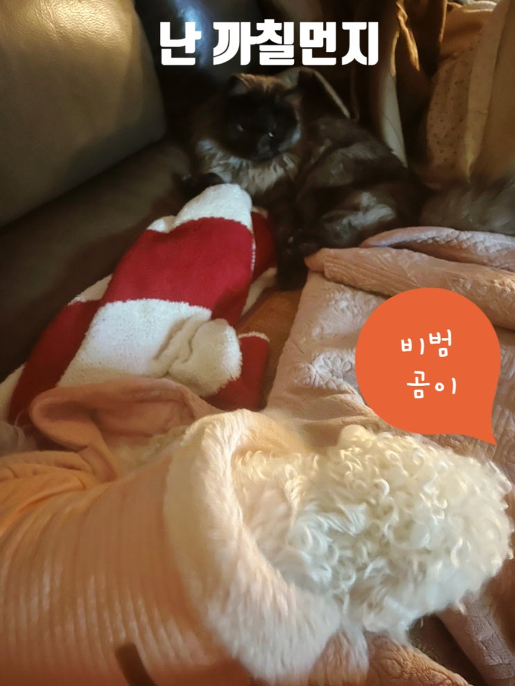  문제가 생기면 하나씩,,직면하자