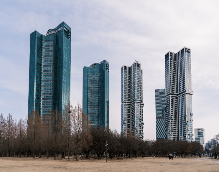  23년 1월 후반기의 사진 기록 - 광장시장 / 온유약국 / 무겐스위치 / 서울숲 / 갤러리아 포레 / 아크로 서울 포레스트 / 디타워 SM 광야(KYANGYA)