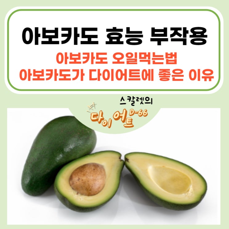  아보카도 효능 및 부작용 아보카도 오일 먹는법, 아보카도가 다이어트에 좋은 이유