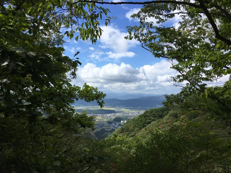  탓하기보다.
