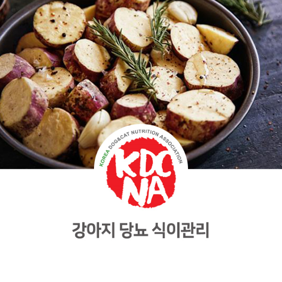  NO.1067 강아지 당뇨병에 좋은 간식