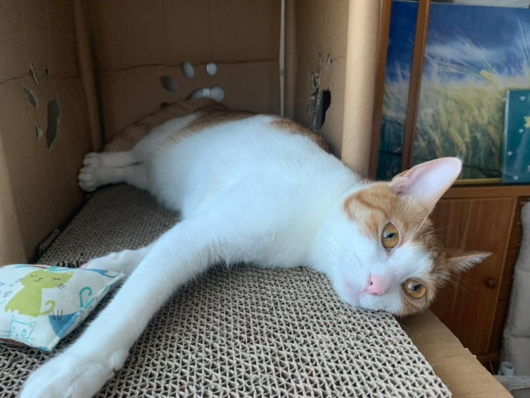  성장일기 22/07