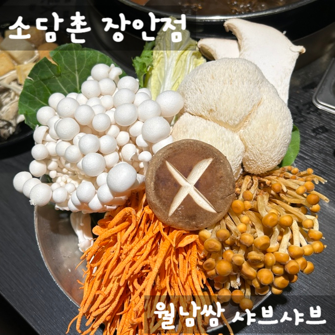 장안동맛집 소담촌 장안점 월남쌈 샤브샤브