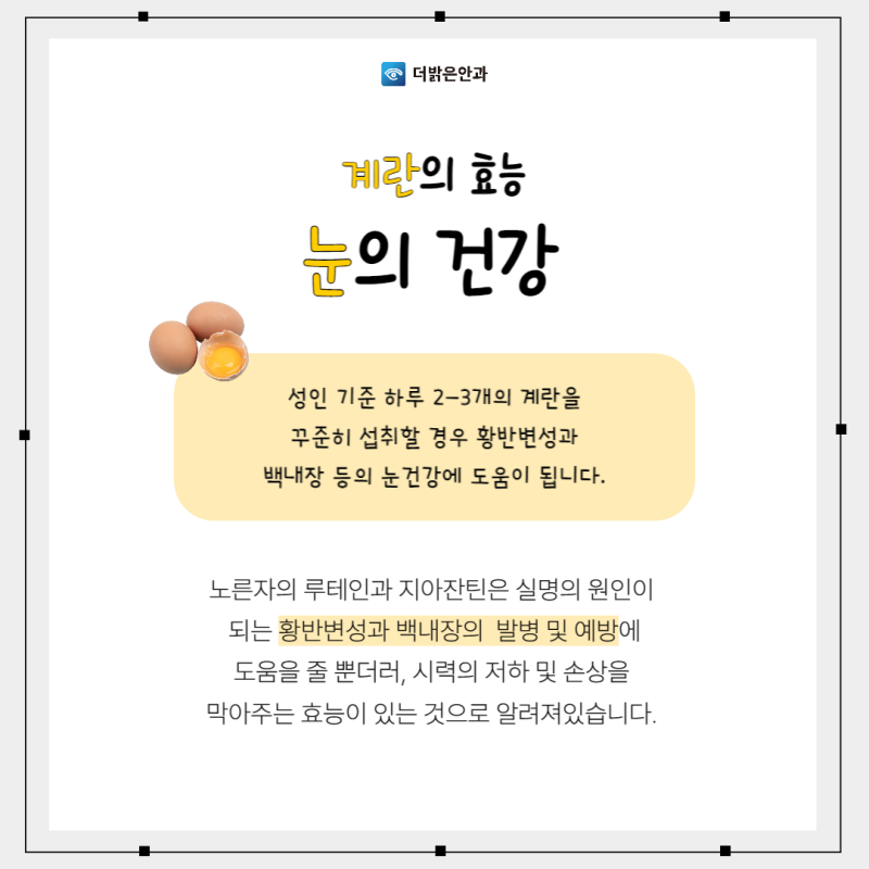 백내장 황반변성 뇌건강에 좋은 계란의 효능 알아두세요