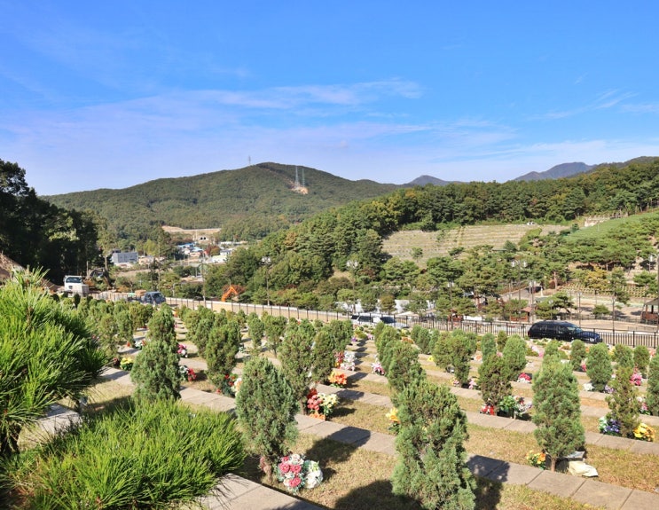  용인수목장 똑똑하게 마련하는 팁