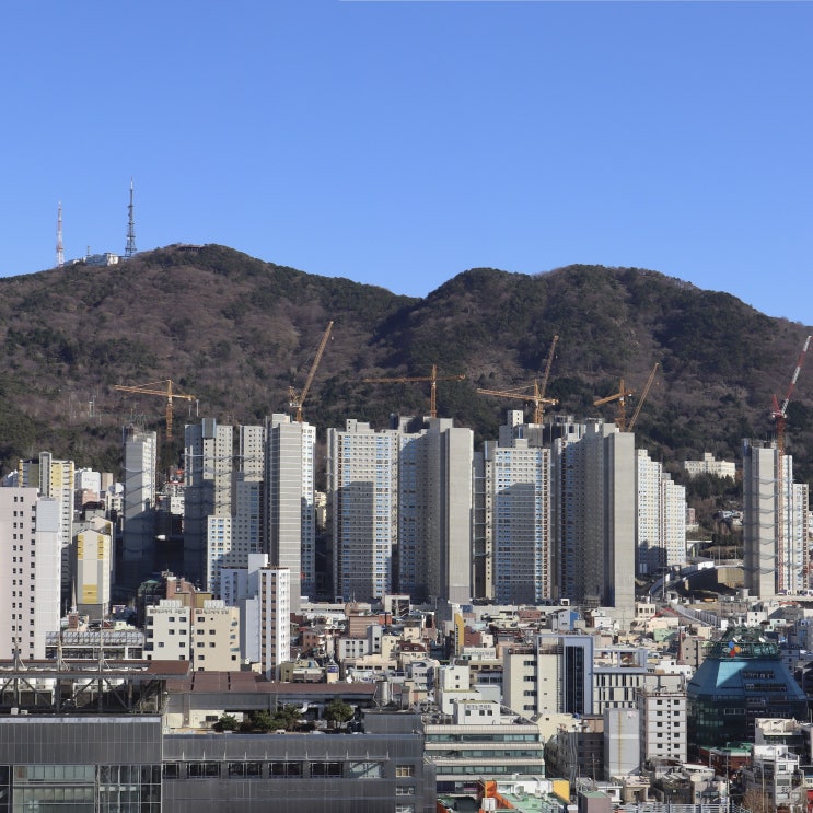 건축기사/토목기사/건축산업기사/토목산업기사 필기 실기 시험 합격률 표