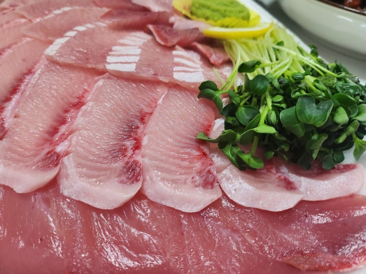  천안 농수산물도매시장 방어특수부위 맛조개 가리비 포장 싱싱 ~