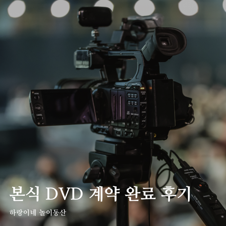  본식 DVD 계약 완료 블루미디어시네마 짝꿍 할인 혜택
