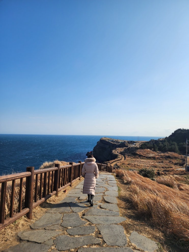  제주도) 송악산을 걸으면서 / 5감사 _ 꿈자