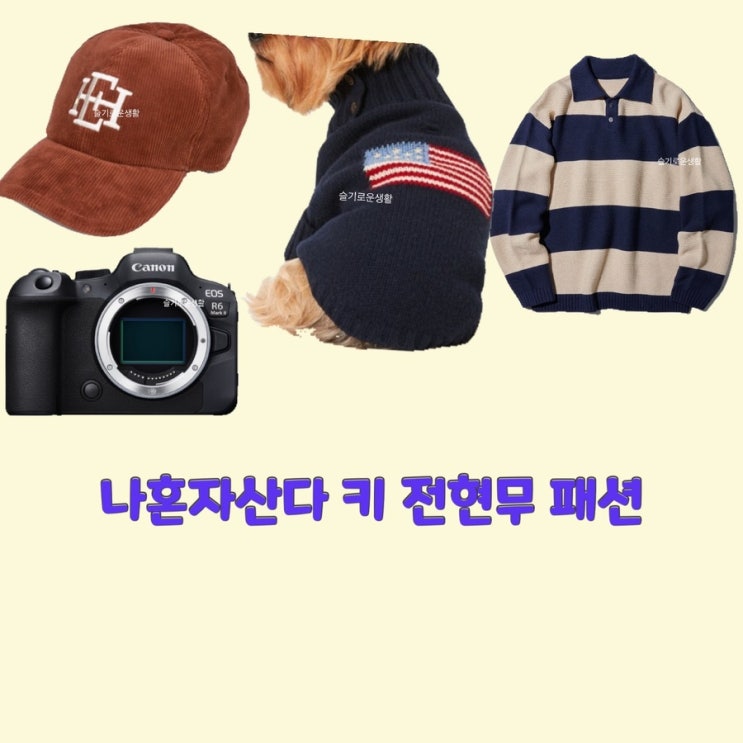  키 전현무 태연 나혼자산다481회 카메라 강아지옷 니트 모자 티셔츠 맨투맨 옷 패션