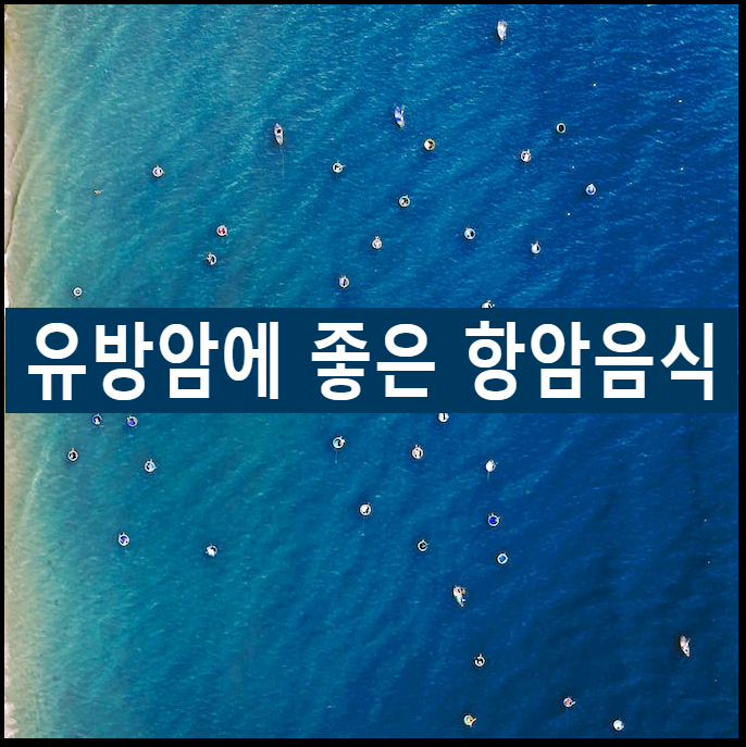 유방암에 좋은 항암 음식과 유방암 환자 식단/ 황성주 생식 정보