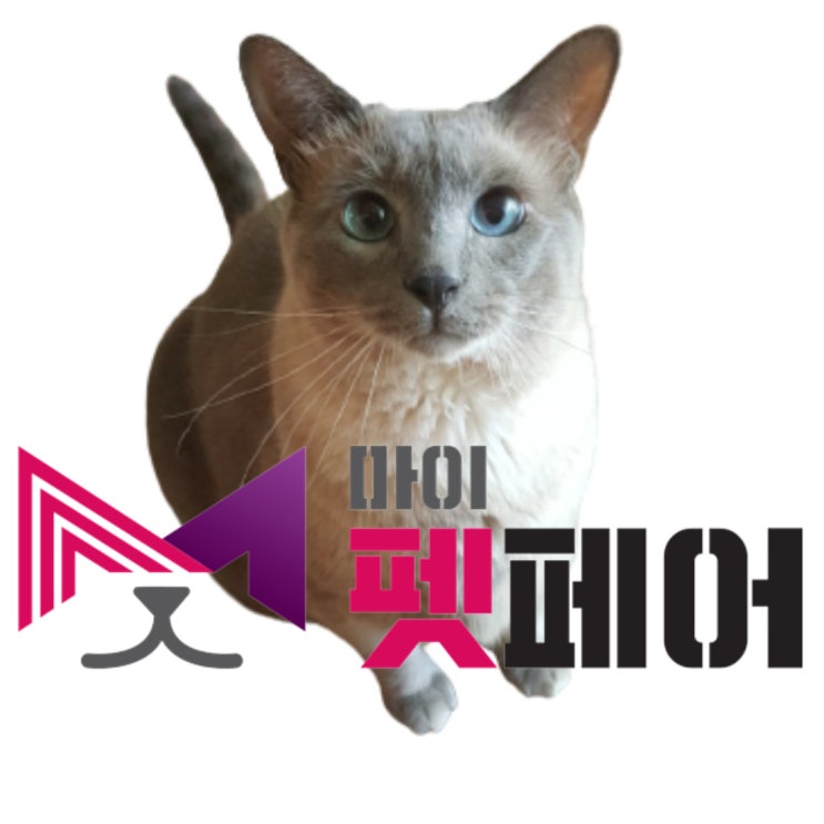  2023 마이펫페어 세텍 첫 방문 후기
