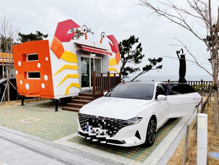  [울산 캠핑장] 북구 강동오토캠핑장 카라반 꽃게 다녀왔어요!