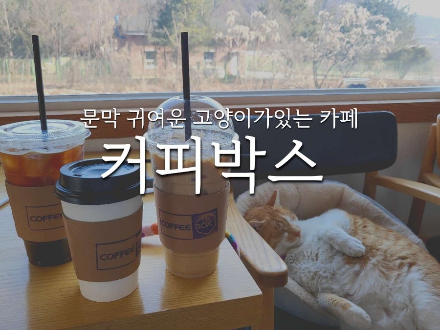 커피박스 사진 1
