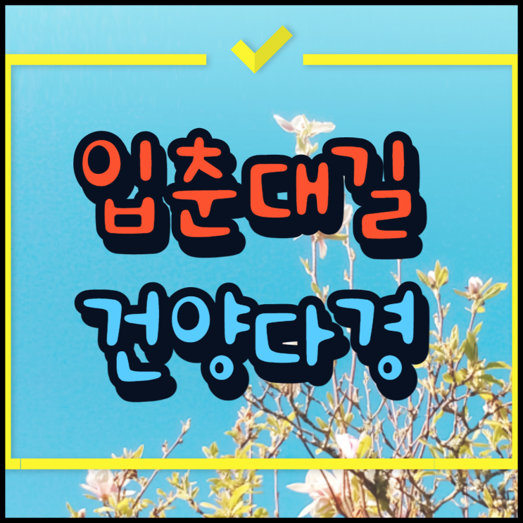 입춘대길 건양다경 뜻 부적 붙이는법 붙이는 시간 도안 한자!