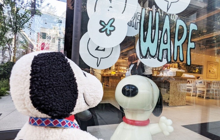  도쿄카페추천 하라주쿠 핫플 현지인카페 데이트코스 Peanuts cafe Sunny Side KitChen