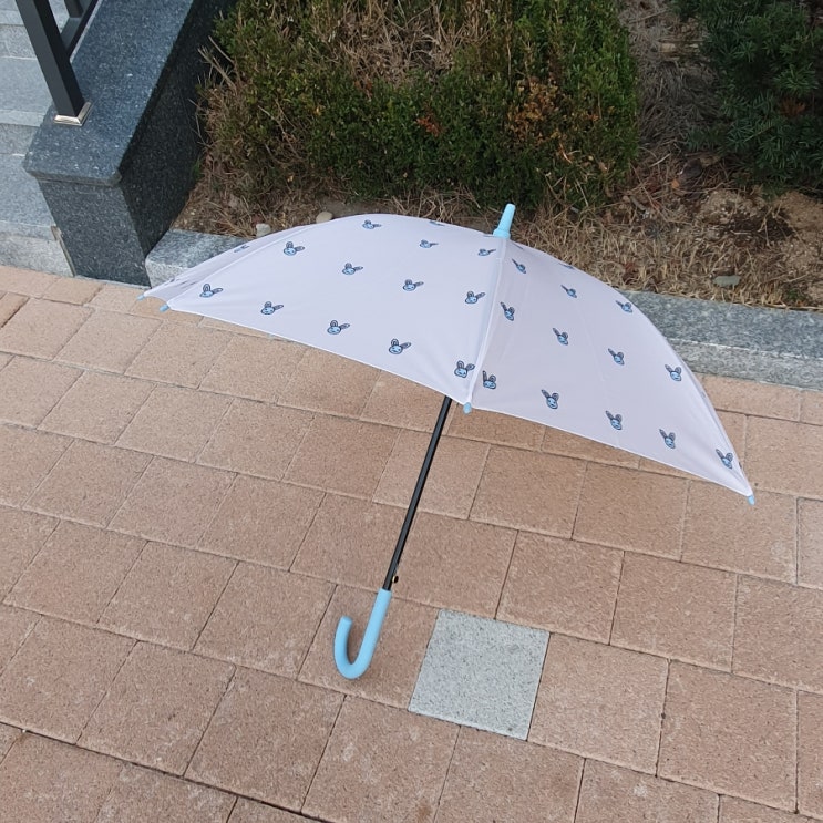  귀여운 장우산 추천 데이니즈 핑구 PINGU