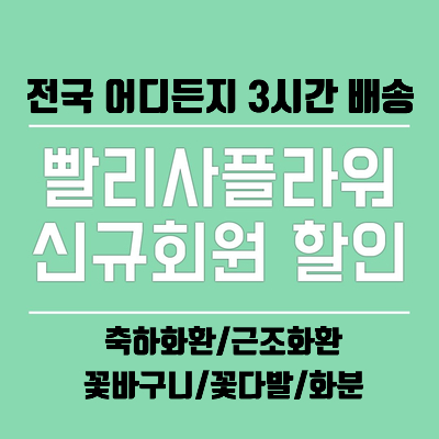  (축하화환/근조화환) 빨리사플라워 신규회원 할인쿠폰 5000원