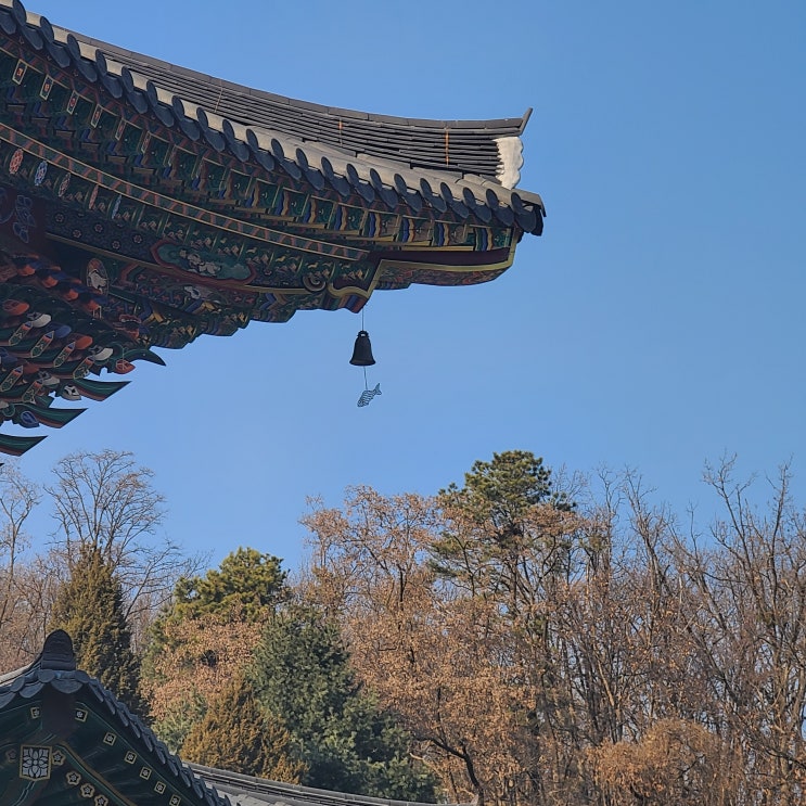 2023.02.04 / 일상 / 산책 / 정토사 / 율동공원 / 루안베이커리카페 / 2023.02.04 / 일상 / 산책 / 정토사 / 율동공원 / 루안베이커리카페 /