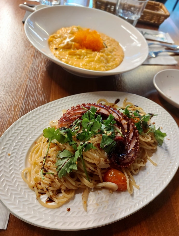 강남구청 파스타 맛집 아이수마 강남구청 피자 맛집 AiSuma