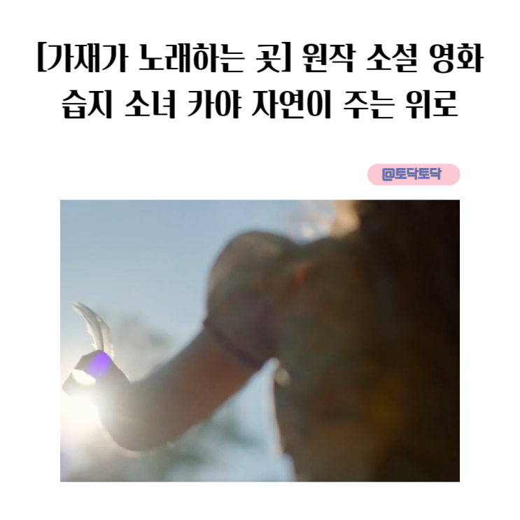 [가재가 노래하는 곳] 원작 소설 영화 습지 소녀 카야  자연이 주는 위로 평점 높은 이유 웨이브영화