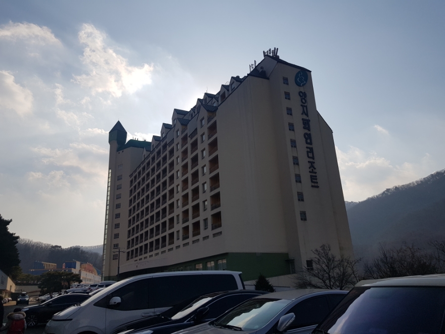 봉피자 사진 3