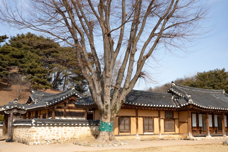  다산 정약용 생가 조선 후기의 대표적인 실학자이자 천재를 만나다