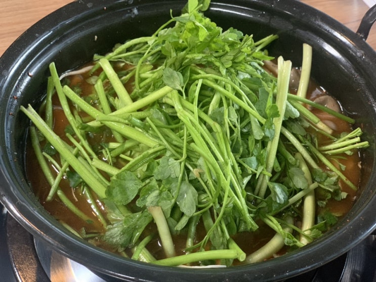  [시흥 맛집] 등촌샤브칼국수 후기 : 국물 시원칼칼한 샤브샤브, 프차의 맛!(내돈내산)