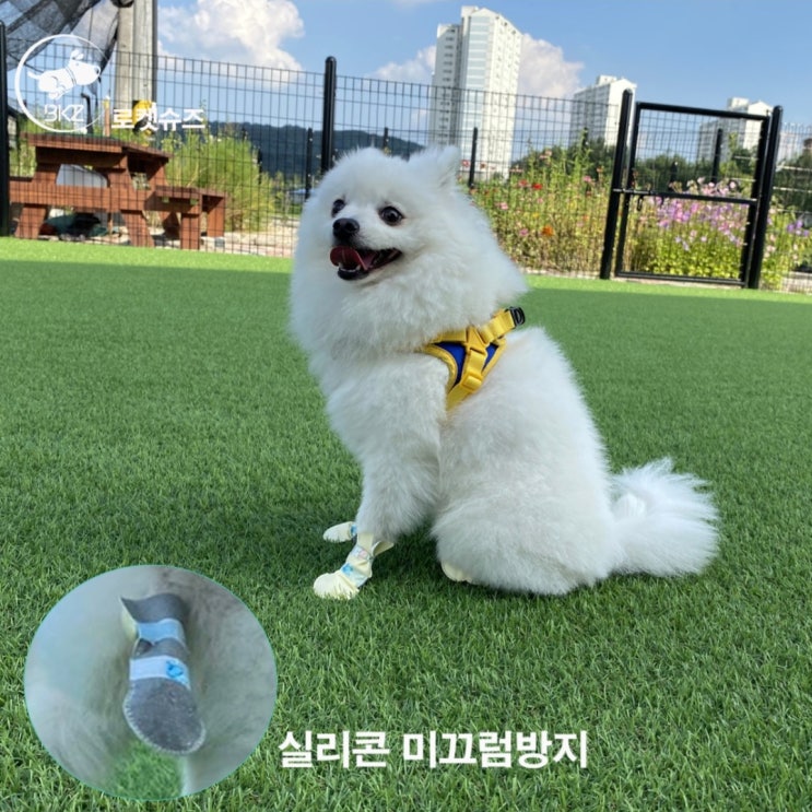 강아지신발 강아지신발 일회용 신발 대형견 소형견 강아지 신발