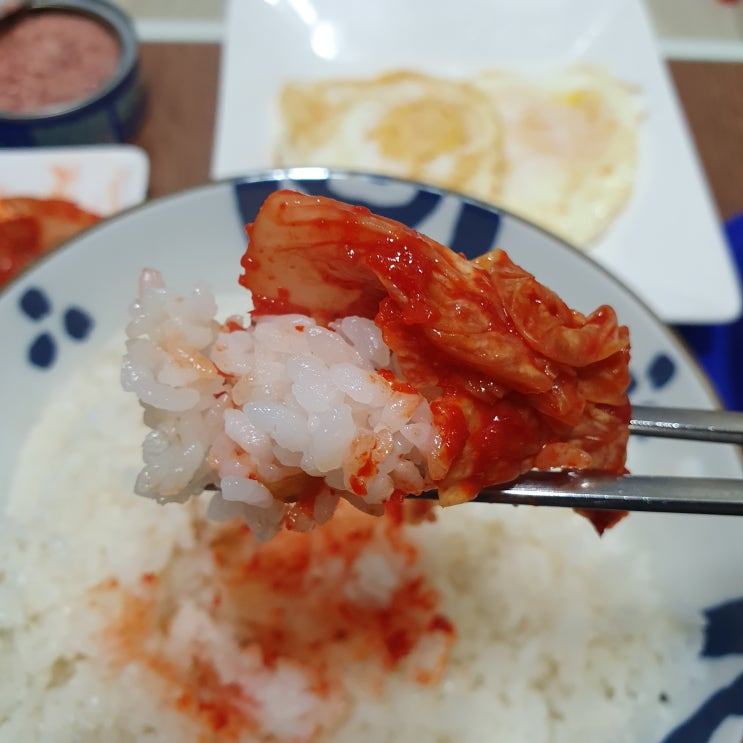  전라도김치로 맛있는 한끼밥상 차려먹기 김권태 배추김치